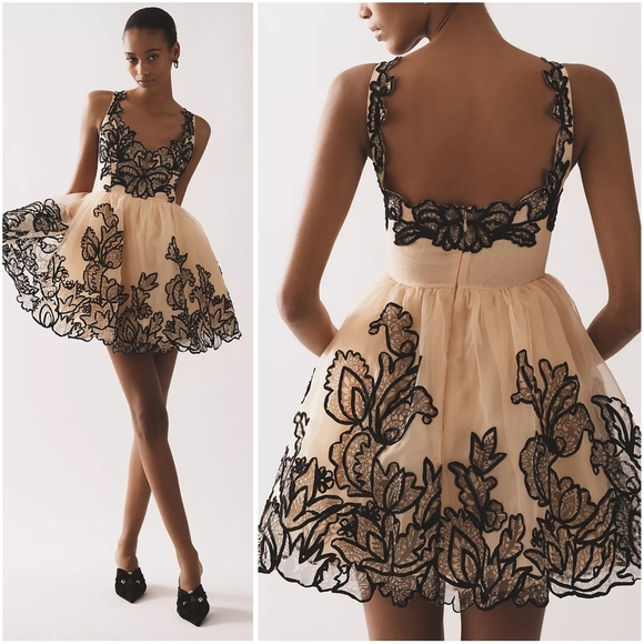 NWT Anthropologie Maeve Sleeveless V-Neck Lace Fit N Flare Mini Dress 8 - Picture 1 of 11